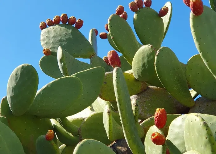 Appartement Traditional Dream Myconian Ornos (Mykonos)