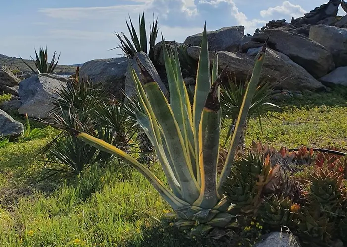 Appartement Traditional Dream Myconian *